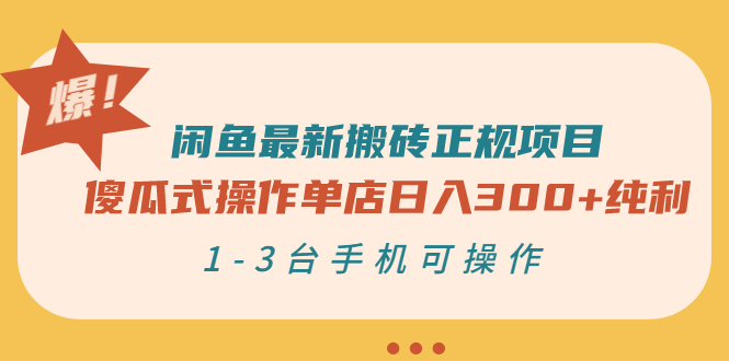 【副业项目3413期】闲鱼最新搬砖正规赚钱项目（手机上赚钱的副业）-盈途副业网