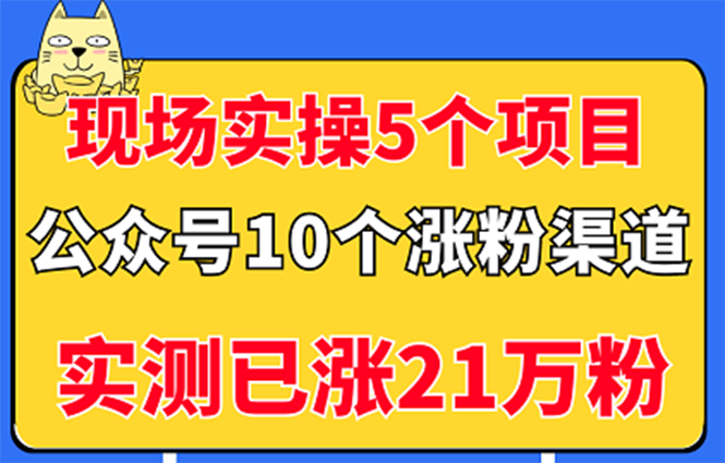 【副业项目3490期】公众号的10种矩阵引流的方法，实测已涨21万粉-盈途副业网