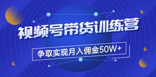 【副业项目3707期】视频号直播带货教程，教你如何实现月入佣金50W+（课程+资料+工具）-盈途副业网