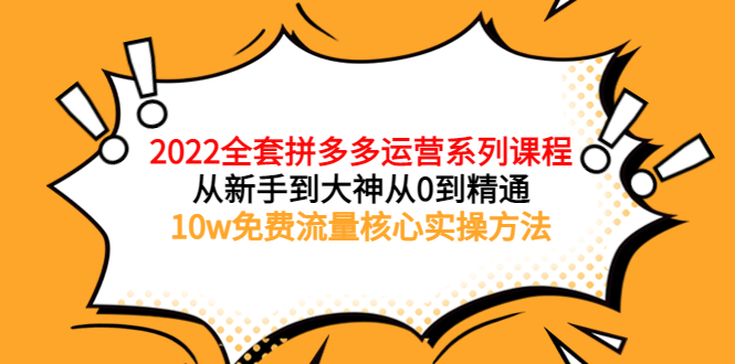 【副业项目4045期】2022全套拼多多运营课程：新手怎么做拼多多电商，10w免费流量核心实操方法-盈途副业网