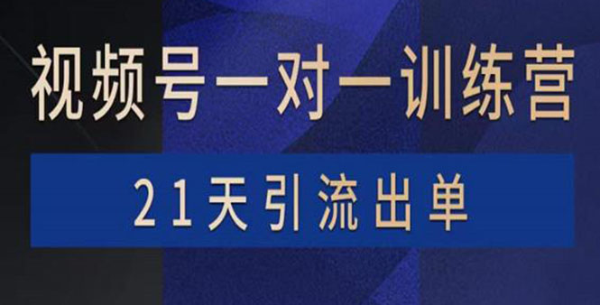 【副业项目4068期】视频号训练营：带货，涨粉，直播，游戏，四大变现新方向，21天引流出单-盈途副业网