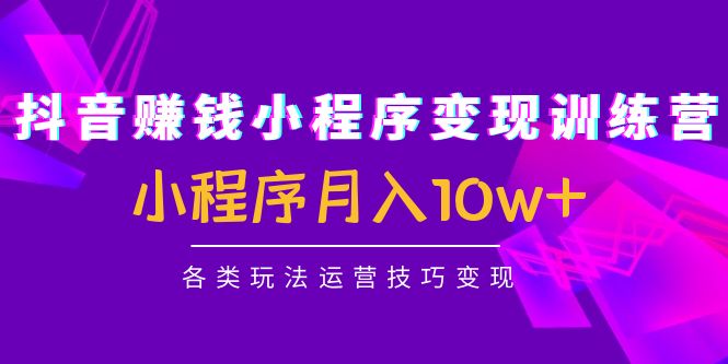 【副业项目4765期】抖音赚钱小程序变现训练营：小程序月入10w+各类玩法运营技巧变现-盈途副业网