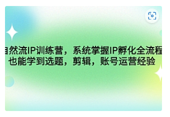 【副业项目4920期】自然流IP训练营，系统掌握IP孵化全流程，也能学到选题，剪辑，账号运营经验-盈途副业网