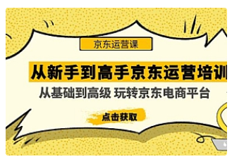 【副业项目5010期】从新手到高手京东运营培训：从基础到高级 玩转京东电商平台-盈途副业网