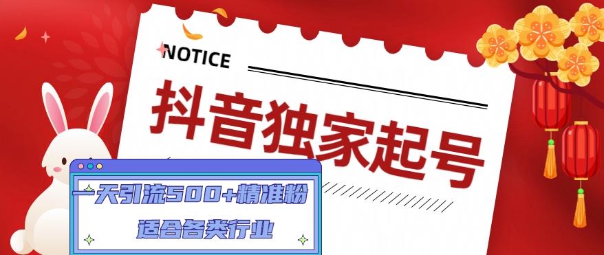 【副业项目5106期】抖音独家起号，一天引流500+精准粉，适合各类行业（9节视频课）-盈途副业网