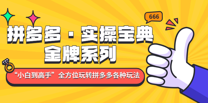 【副业项目5130期】拼多多·实操宝典：金牌系列“小白到高手”带你全方位玩转拼多多各种玩法-盈途副业网