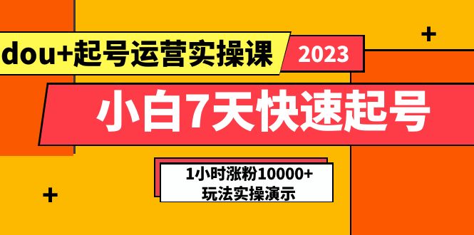 【副业项目5906期】小白7天快速起号：dou+起号运营实操课，实战1小时涨粉10000+玩法演示-盈途副业网