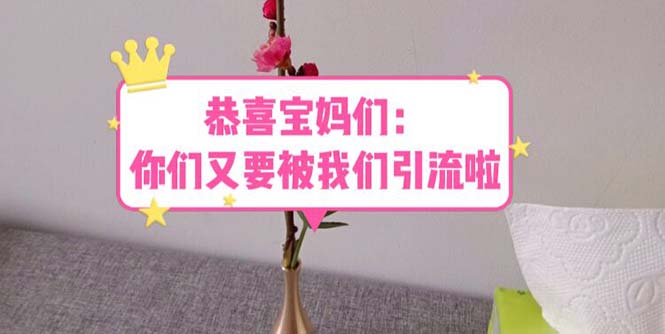 【副业项目5918期】恭喜宝妈们：你们又要被我们引流了（教程+222g资料）-盈途副业网