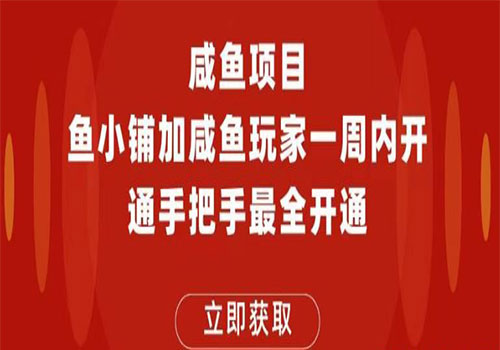 【副业项目6067期】2023闲鱼项目鱼小铺加闲鱼玩家认证一周内开通，手把手最全开通-盈途副业网