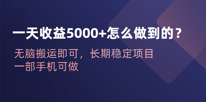 【副业项目6540期】一天收益5000+怎么做到的？无脑搬运即可，长期稳定项目，一部手机可做-盈途副业网