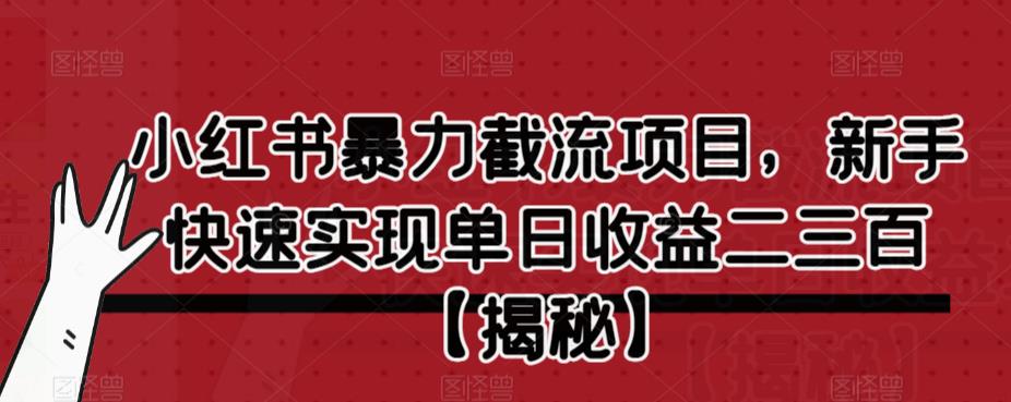 【副业项目6889期】小红书暴力截流项目，新手快速实现单日收益二三百【仅揭秘】-盈途副业网