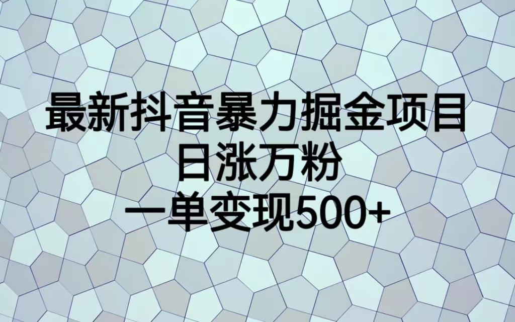 【副业项目6939期】最新抖音暴力掘金项目，日涨万粉，一单变现500+-盈途副业网