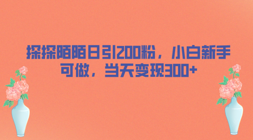 【副业项目7026期】探探陌陌日引200粉，小白新手可做，当天就能变现300+-盈途副业网