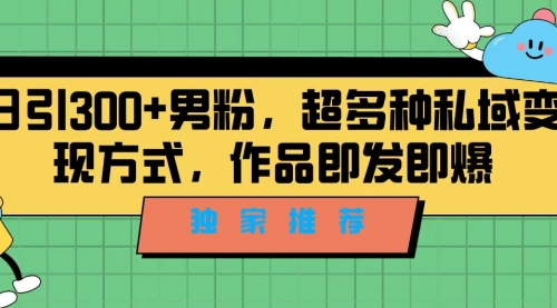 【副业项目7191期】独家推荐！日引300+男粉，超多种私域变现方式-盈途副业网