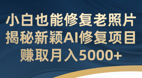 【副业项目7218期】小白也能修复老照片！揭秘新颖AI修复项目-盈途副业网