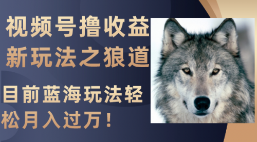 【副业项目8271期】视频号撸收益新玩法之狼道，目前蓝海玩法轻松月入过万！-盈途副业网