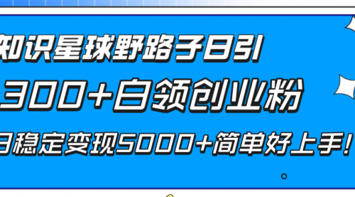 【副业项目8492期】知识星球野路子日引300+白领创业粉-盈途副业网