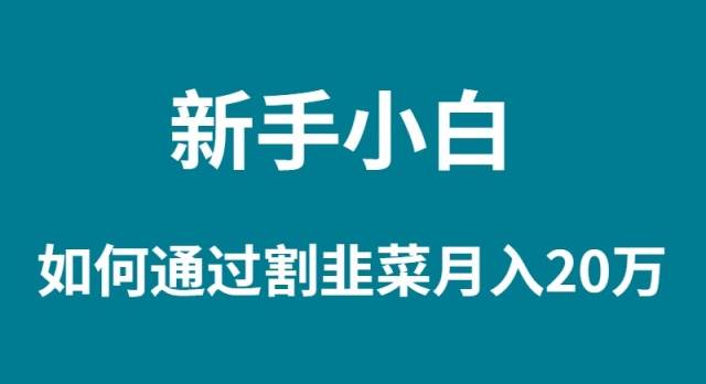 新手小白如何通过割韭菜月入 20W-盈途副业网