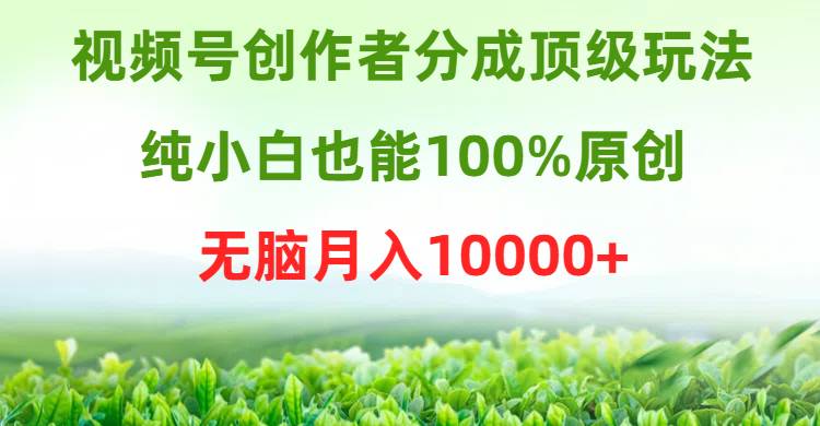 视频号创作者分成顶级玩法，纯小白也能100%原创，无脑月入10000+-盈途副业网