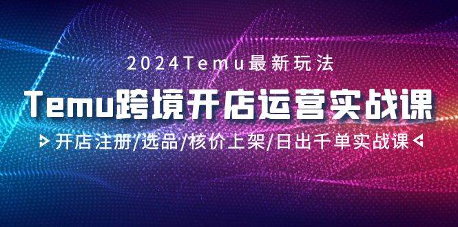 2024Temu跨境开店运营实战课，开店注册/选品/核价上架/日出千单实战课-盈途副业网