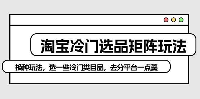 淘宝冷门选品矩阵玩法：换种玩法，选一些冷门类目品，去分平台一点羹-盈途副业网