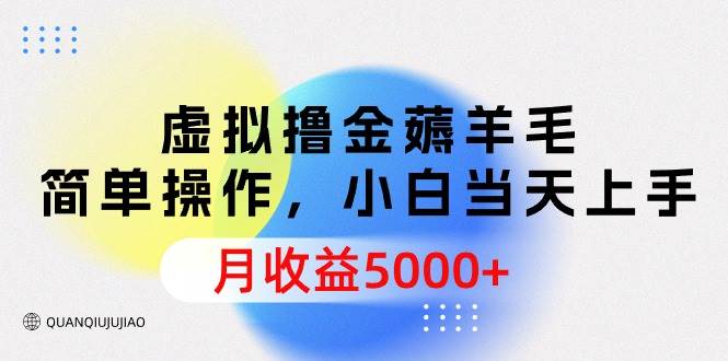 虚拟撸金薅羊毛，简单操作，小白当天上手，月收益5000+-盈途副业网