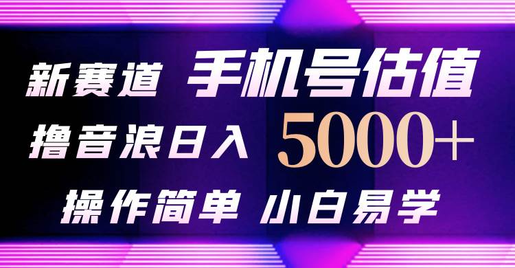 抖音不出境直播【手机号估值】最新撸音浪，日入5000+，简单易学，适合…-盈途副业网