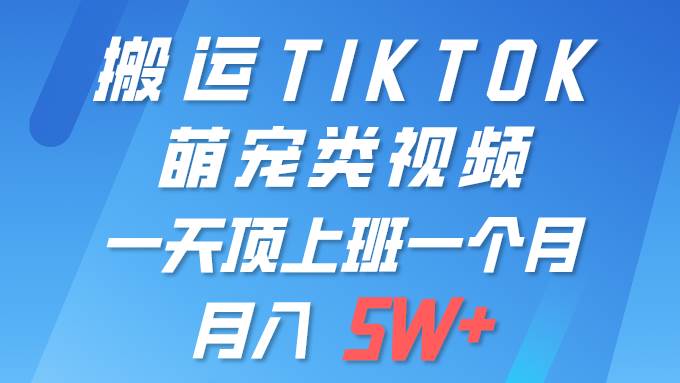 一键搬运TIKTOK萌宠类视频 一部手机即可操作 所有平台均可发布 轻松月入5W+-盈途副业网