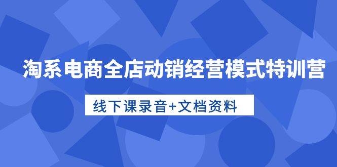 淘系电商全店动销经营模式特训营，线下课录音+文档资料-盈途副业网