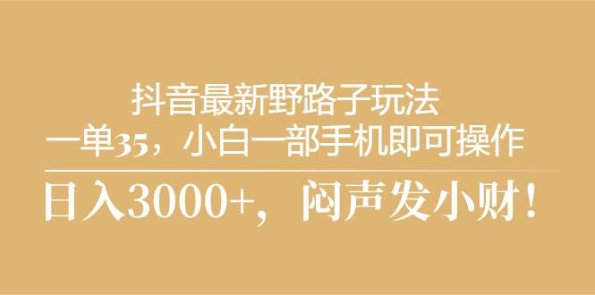 抖音最新野路子玩法，一单35，小白一部手机即可操作，，日入3000+，闷…-盈途副业网