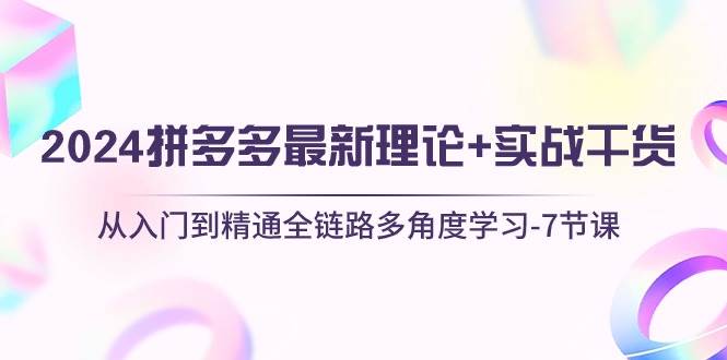 2024拼多多 最新理论+实战干货，从入门到精通全链路多角度学习-7节课-盈途副业网