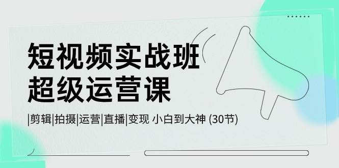 短视频实战班-超级运营课，|剪辑|拍摄|运营|直播|变现 小白到大神 (30节)-盈途副业网