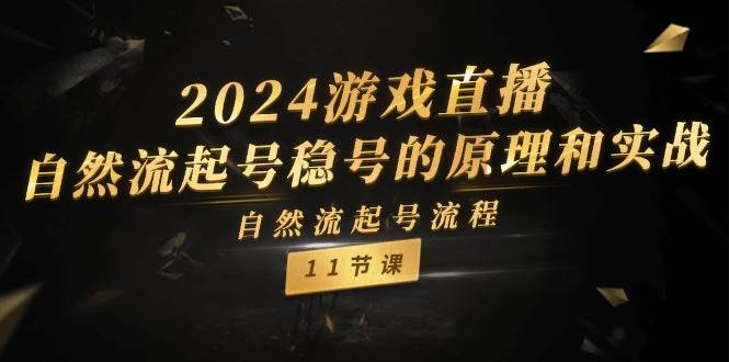 2024游戏直播-自然流起号稳号的原理和实战，自然流起号流程（11节）-盈途副业网