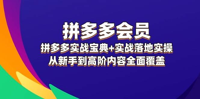 拼多多 会员，拼多多实战宝典+实战落地实操，从新手到高阶内容全面覆盖-盈途副业网