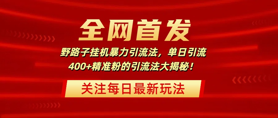 全网首发，野路子挂机暴力引流法，单日引流400+精准粉的引流法大揭秘！-盈途副业网