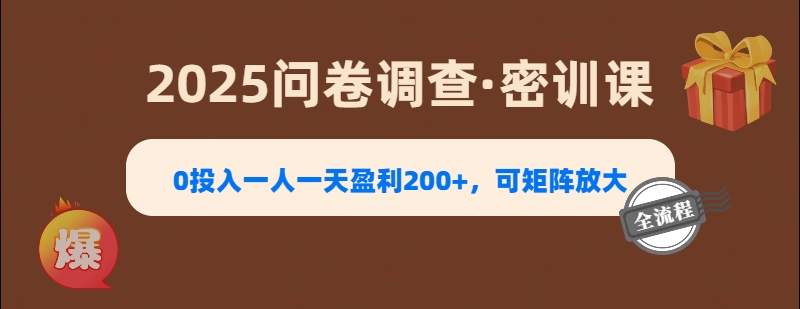 2025《问卷调查》0投入一人一天盈利200+，可矩阵放大-盈途副业网