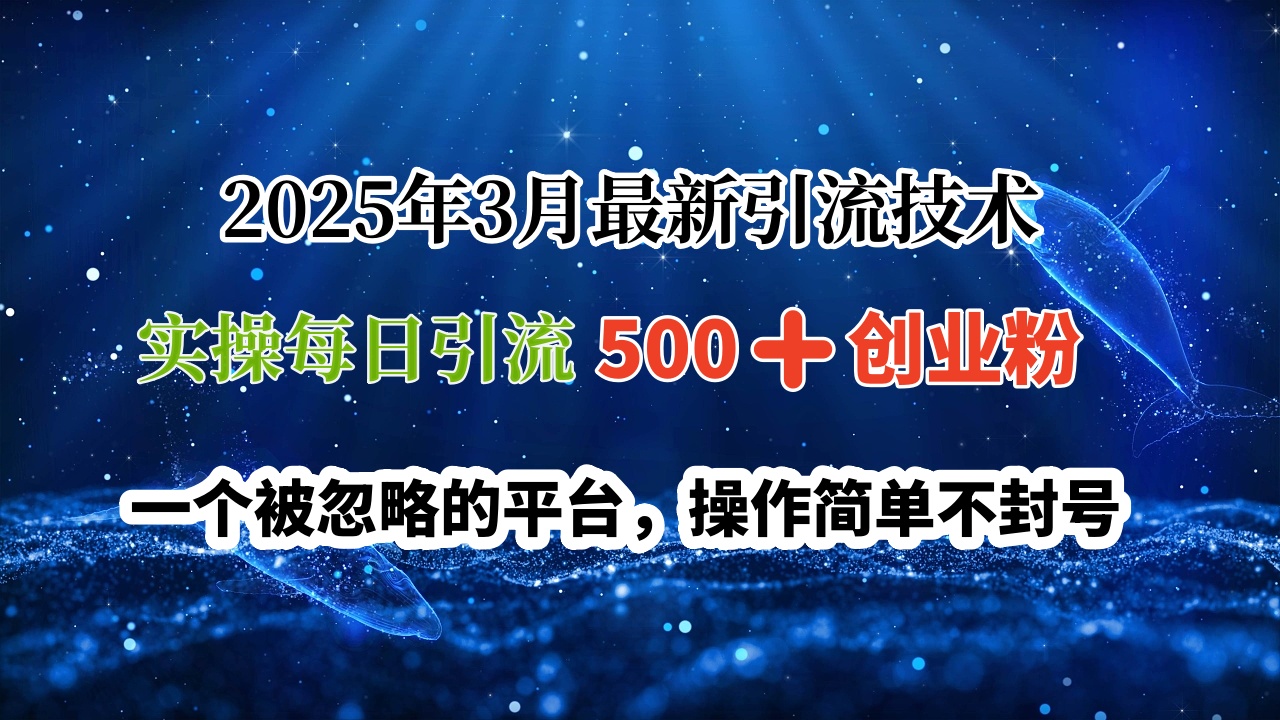 2025年3月最新引流技术，实操每日引流500➕创业粉，一个被忽略的平台，操作简单不封号-盈途副业网