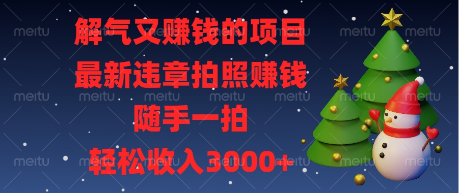 解气又赚钱的项目，最新违章拍照赚钱，随手一拍，轻松收入3000+-盈途副业网