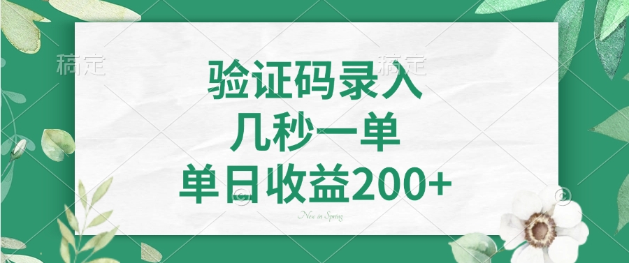 验证码录入，看图识字，几秒一单，单日收益200+-盈途副业网